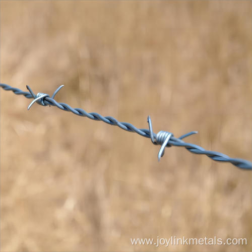Anti-climbing and Anti-rust Galvanized Barbed Wire